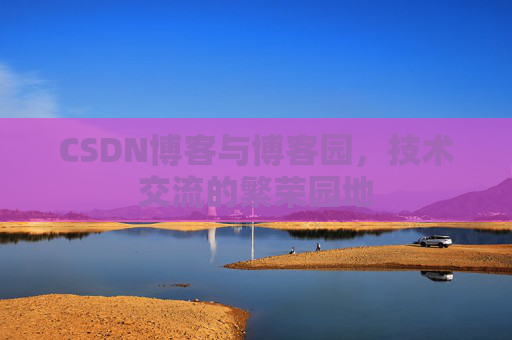 CSDN博客与博客园,技术交流的繁荣园地